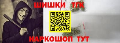 крисы Малгобек