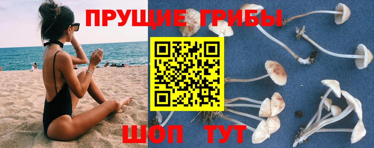 Еманжелинск  Псилоцибиновые грибы Cubensis  Вход с VPN 